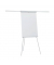 Flipchart X-tra!Line Standard Plus, EL-FC22, 68x105cm (BxH), lichtgrau, mit Beinen, mit 2 Seitenarmen