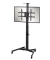 PureMounts® TV Standfuß, mobil, Display bis 70", höhenverstellbar in