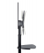 PureMounts® TV Standfuß, mobil, Display bis 70", höhenverstellbar in