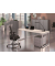 Schreibtisch Cito, 74cm (H), 120x80cm (BxT), rechteckig, buche / silber