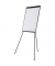Flipchart, EA2306475, 70x100cm (BxH), grau, mit Beinen, mit 2 Seitenarmen