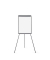 Flipchart, EA2306475, 70x100cm, grau, mit Beinen