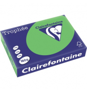 Kopierpapier Trophee 1025C A4 160g maigrün intensiv 