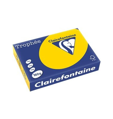 Kopierpapier Trophee 1103C goldgelb pastell A4 160g 250 Blatt