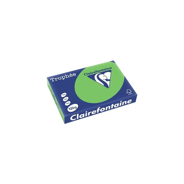 Clairefontaine Kopierpapier Trophee 1293C maigrün intensiv A4 120g 3329680129304 Clairefontaine