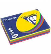 Kopierpapier Trophee 1713C farbig sortiert intensiv A4 160g 