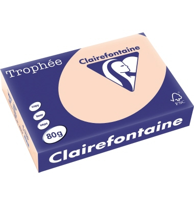 Kopierpapier Trophee 1769C lachs pastell A4 80g 