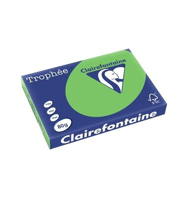 Kopierpapier Trophee 1885C maigrün intensiv A3 80g 