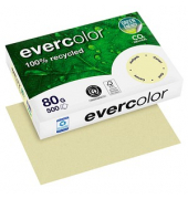 Recyclingpapier evercolor 40005C A4 80g hellgelb pastell 