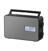 RF-D30BT Radio grau