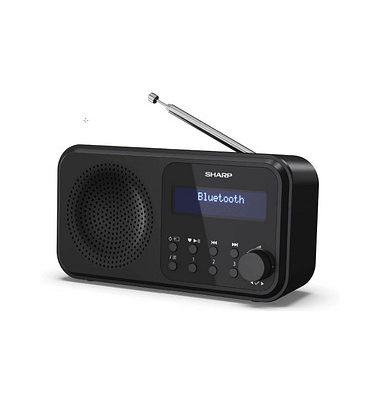 DR-P420 DAB+ Empfänger schwarz DR-P420 DAB+ Empfänger schwarz