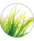 Duftöl Citronella Citrus 10,0 ml,