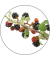 Duftöl Wildbeeren fruchtig 10,0 ml,