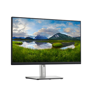  Monitor P2422H 210-AZYX, Full HD, 8 ms, schwarz/silber