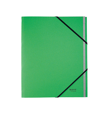 Ordnungsmappe Recycle 3915-00-55, 12-teilig blanko, gr&uuml;n, A4, 12 F&auml;cher