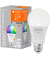 WLAN-Lampe SMART+ WiFi Classic A100 RGBW E27 14 W matt