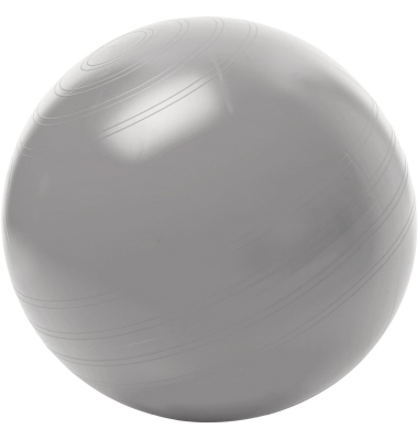 TOGU Sitzball ABS 408551 kein Wegrollen 55cm Größe M silber TOGU Sitzball ABS 408551 kein Wegrollen 55cm Größe M silber