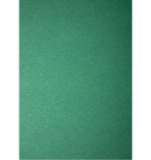 Einbanddeckel, A4, Lederstruktur 250g Karton, Delta Cover, grün