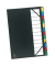 Ordnungsmappe Ordonator 55341E, 12-teilig blanko, schwarz, A4, 12 F&auml;cher