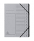Ordnungsmappe 541211E, 1-12, grau, A4, 12 F&auml;cher