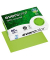 Recyclingpapier evercolor 40027C lindgrün A4 80g 