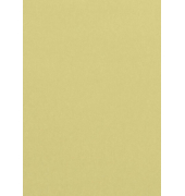 Kopierpapier Pollen 4296C chamois A4 120g 