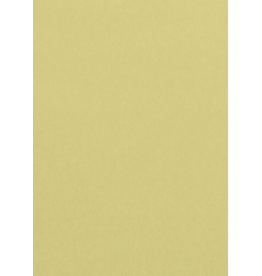 Kopierpapier Pollen 4296C chamois A4 120g 
