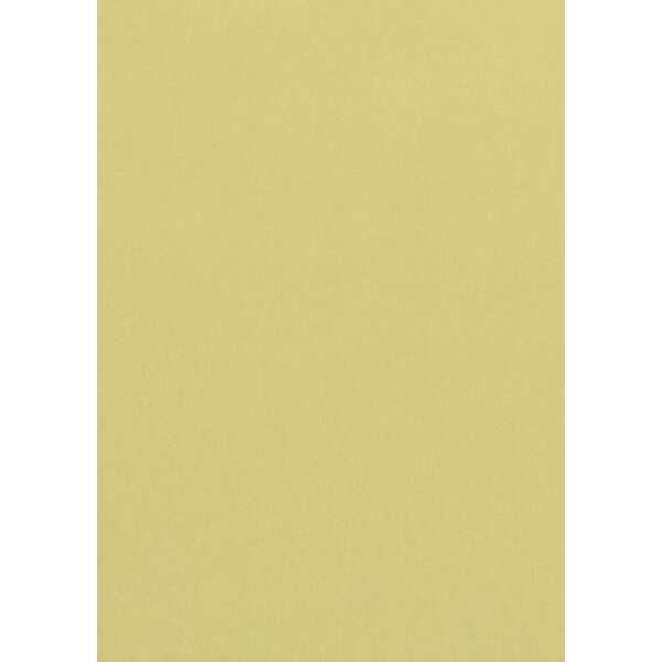 3329680042962 - Kopierpapier Pollen 4296C chamois A4 120g 50 Blatt 3329680042962 Clairefontaine