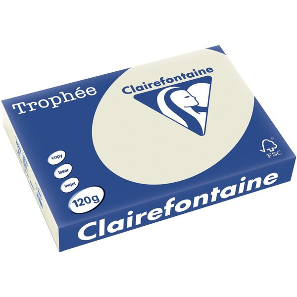 Clairefontaine Kopierpapier Trophee 1201C grau pastell A4 120g 3329680120103 Clairefontaine