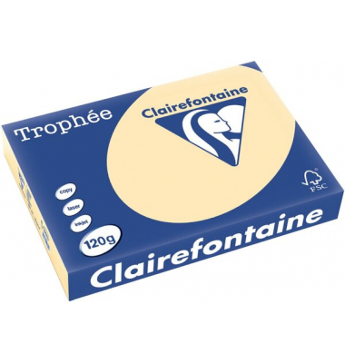Kopierpapier Trophee 1203C chamois pastell A4 120g 