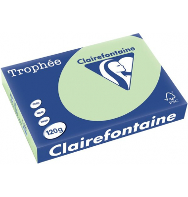 Kopierpapier Trophee 1215C gr&uuml;n pastell A4 120g