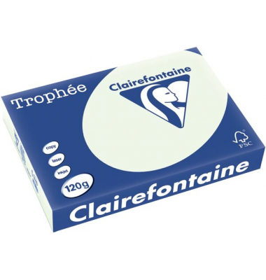 Kopierpapier Trophee 1246C lindgrün pastell A4 120g 
