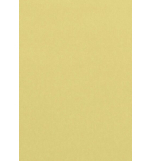 Kopierpapier Trophee 4106C chamois A4 80g 