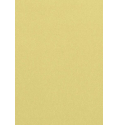 Kopierpapier Trophee 4106C chamois A4 80g 