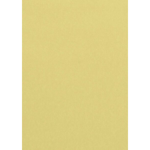 3329680415605 - Kopierpapier Trophee 4156C chamois A4 160g 50 Blatt 3329680415605 Clairefontaine