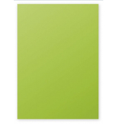 Kopierpapier Trophee 4165C minze/hellgrün A4 160g 