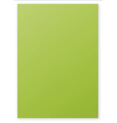 Kopierpapier Trophee 4165C minze/hellgrün A4 160g 