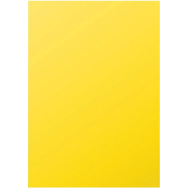 3329680416701 - Kopierpapier Trophee 4167C kanariengelb A4 160g 50 Blatt 3329680416701 Clairefontaine
