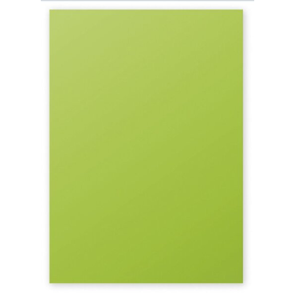 3329680421507 - Kopierpapier Pollen 4215C minzgrün A4 120g 50 Blatt 3329680421507 Clairefontaine
