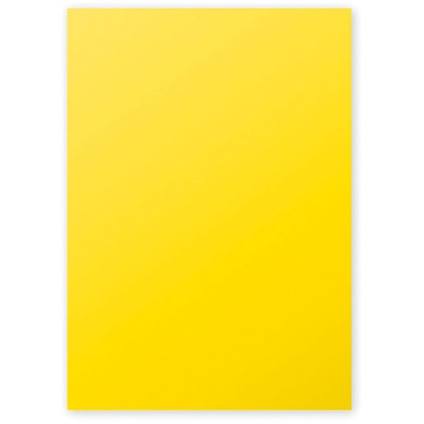 3329680421705 - Kopierpapier Pollen 4217C sonnengelb A4 120g 50 Blatt 3329680421705 Clairefontaine