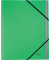 Ordnungsmappe Recycle 3915-00-55, 12-teilig blanko, gr&uuml;n, A4, 12 F&auml;cher