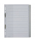 Kunststoffregister 1270-00-00, 10-teilig blanko, A4 schr&auml;g, 120&micro;m, farbige Fenstertaben, 10-teilig
