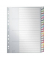 Kunststoffregister 1278-00-00, 20-teilig blanko, A4+, 120µm, farbige Fenstertaben, 20-teilig