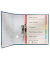 Kartonregister 4350-00-85, 6-teilig blanko, A4, 230 g/m², farbige Taben, 6-teilig