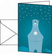 Weihnachts-Karten (inkl. Umschläge) Polar Bear, Weißkarton matt