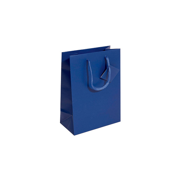 4004360797552 - Geschenktasche GT504 allgemein SmallKunststoffkordelGeschenkanhänger ohne 17cm x 23cm 4004360797552 5 Stück 4004360797552 - Geschenktasche GT504 allgemein SmallKunststoffkordelGeschenkanhänger ohne 17cm x 23cm 4004360797552 5 Stück