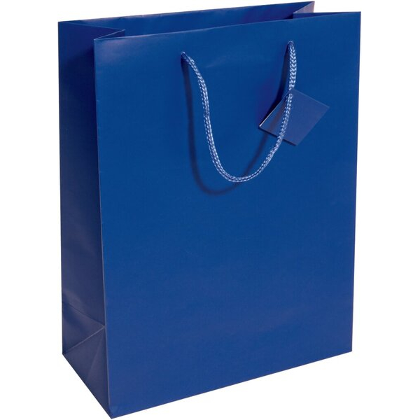 4004360797590 - Geschenktasche GT503 allgemein Kunststoffkordel Geschenkanhänger 26cm x 33cm 4004360797590 5 Stück