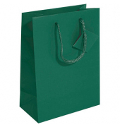 Geschenktasche GT501, allgemein, Small,Kunststoffkordel,Geschenkanhänger, 17cm x 23cm