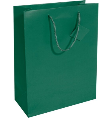 Geschenktasche GT500, allgemein, Large, Kunststoffkordel, Geschenkanhänger, 26cm x 33cm