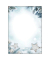 Weihnachtsbriefpapier Sterne / Tannenzweige Snow Star DP312, A4, 90g